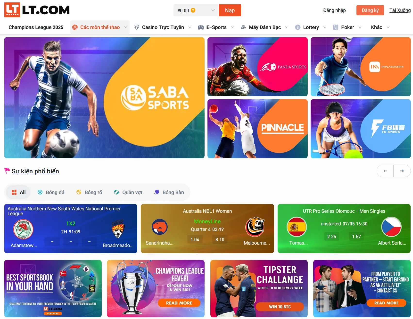 Bảng odds, giao diện đặt kèo trực tiếp, video match