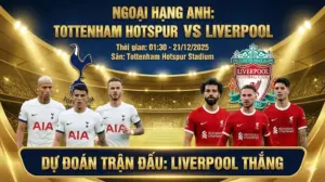 Premier League Tottenham vs Liverpool｜Khuyet “bo nao” tuyen giua, keo nghien ve cua